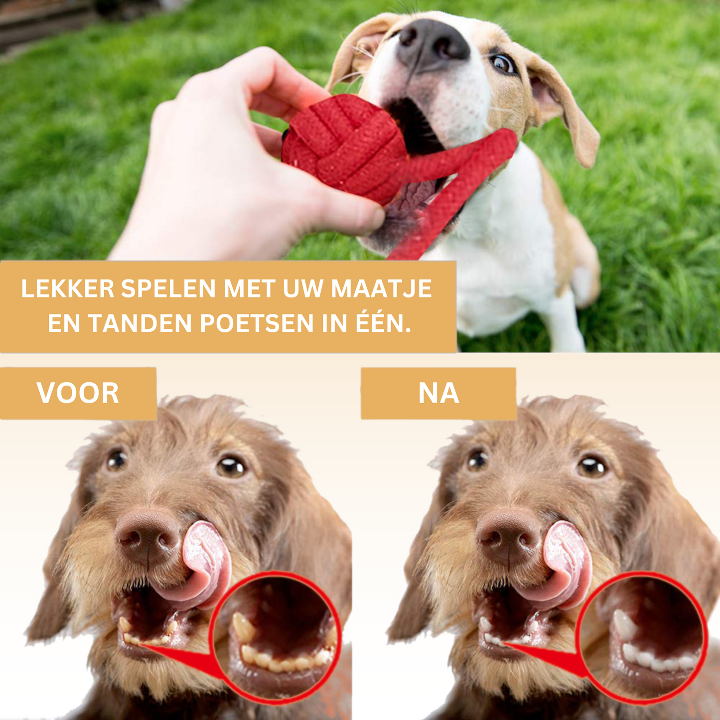 Hondenspeeltjes - Set van 7 (Kleine Honden)