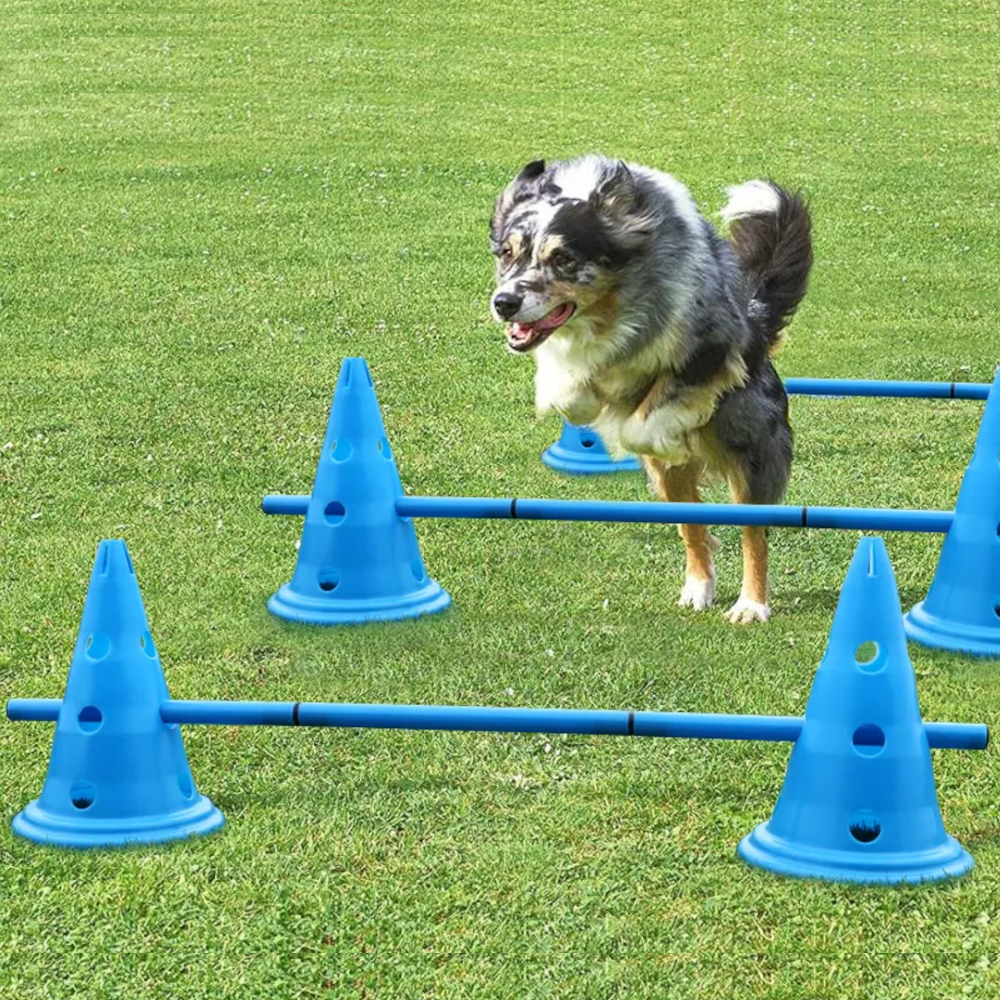 Agility Honden Horden Set