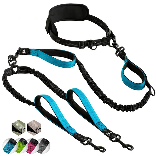 Canicross Bungee Riem (1 of 2 honden)