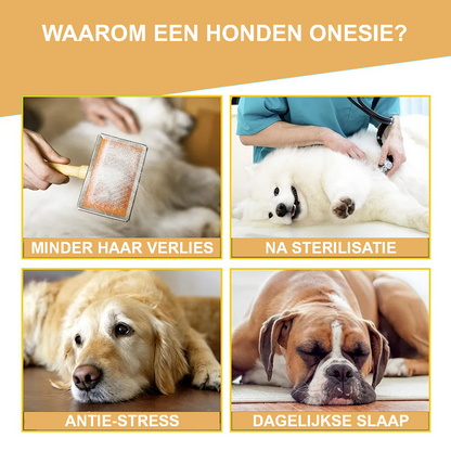 Operatie Onesie Voor Honden