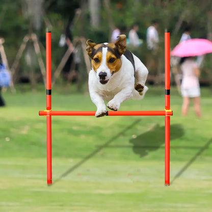 Agility Honden Horden Set