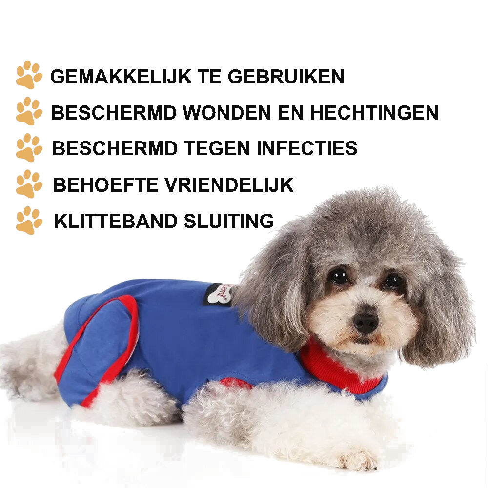 Sterilisatie Romper Voor Honden