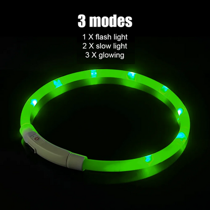 Led Halsband Basic