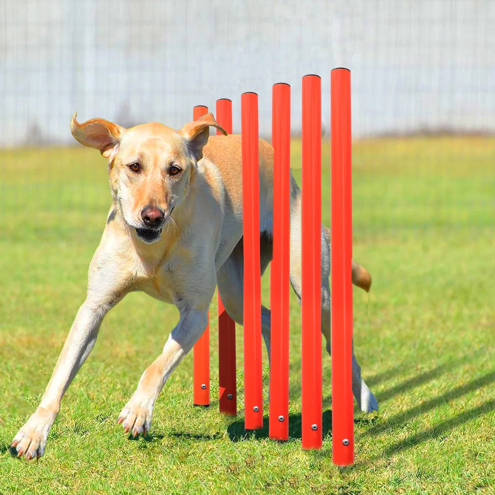 Agility Honden Slalom Set