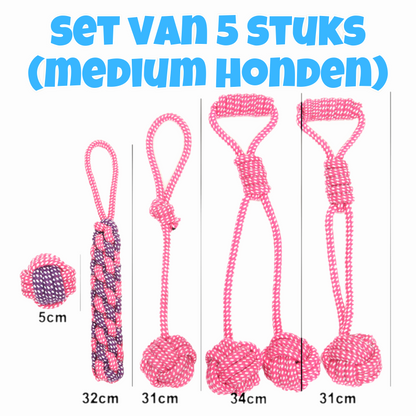 Hondenspeeltjes - Set van 5 (Medium Honden)